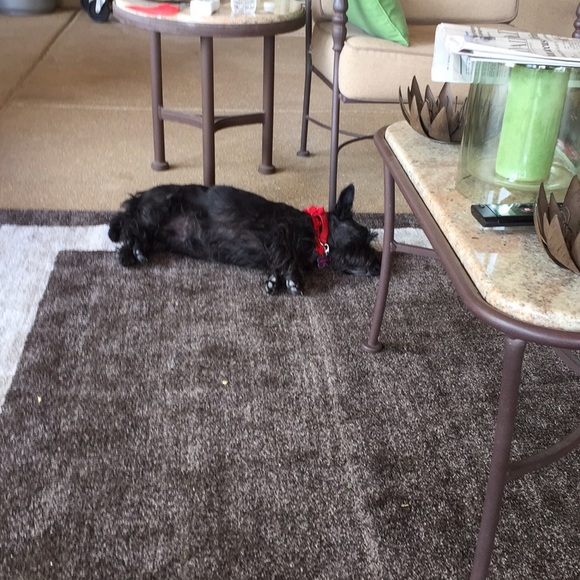 Meet your Posher, Treva - Picture 1 of 1